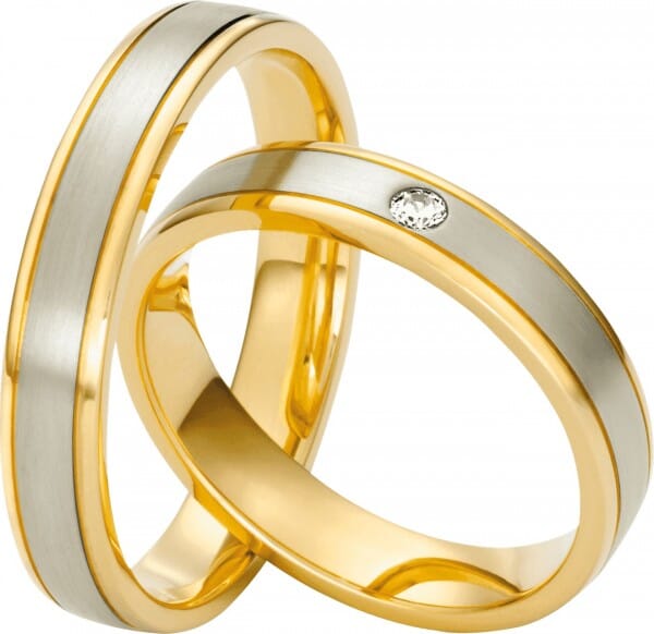 Eheringe Bicolor No.24